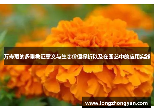 万寿菊的多重象征意义与生态价值探析以及在园艺中的应用实践 万寿菊的多重象征意义与生态价值探析以及在园艺中的应用实践