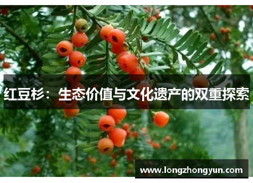 红豆杉:生态价值与文化遗产的双重探索 红豆杉:生态价值与文化遗产的双重探索