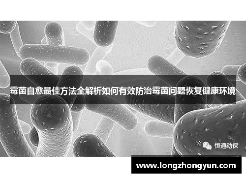 霉菌自愈最佳方法全解析如何有效防治霉菌问题恢复健康环境 霉菌自愈最佳方法全解析如何有效防治霉菌问题恢复健康环境