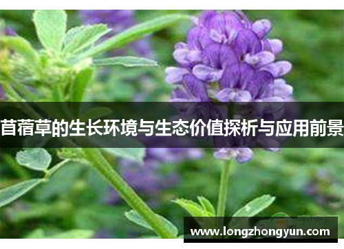 苜蓿草的生长环境与生态价值探析与应用前景 苜蓿草的生长环境与生态价值探析与应用前景